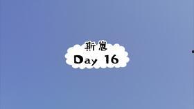 沉溺黄昏 吃瓜,探寻现代生活的心理慰藉