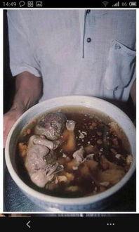 引产吃葵瓜,传统草药在现代医学中的应用探索