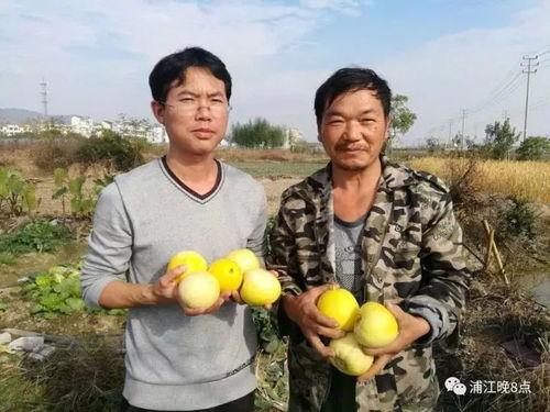 吃瓜群众盘锦,吃瓜群众眼中的魅力之城