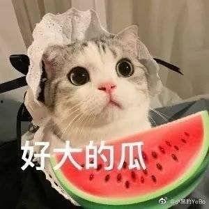 吃瓜被骗是鬼片嘛,揭秘“吃瓜被骗”背后的惊悚真相