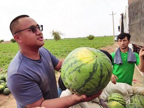长空吃瓜,揭秘娱乐圈的幕后故事