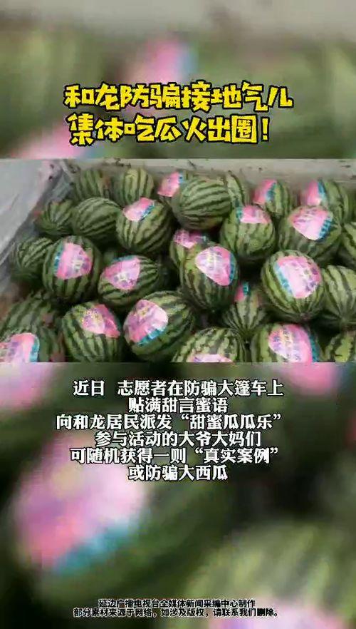 和龙吃瓜,揭秘娱乐圈的甜蜜与苦涩