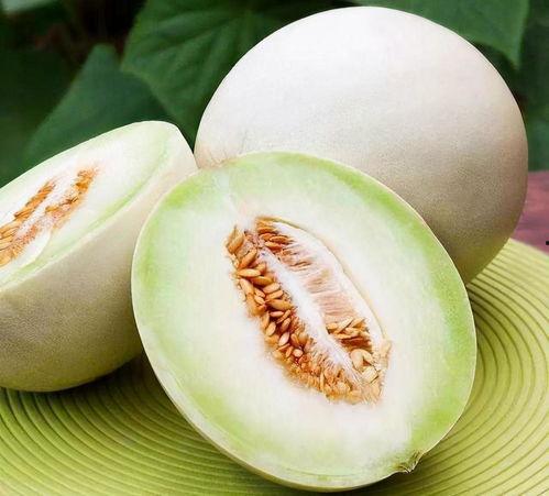 吃瓜上兰州是什么瓜,揭秘兰州特色瓜果之旅