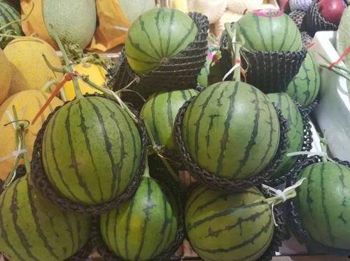 电玩节吃瓜,吃瓜群众围观电竞盛宴