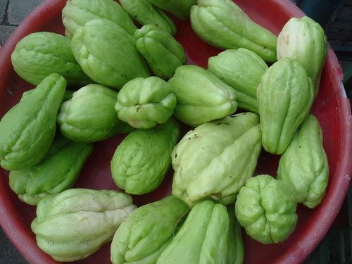 过年吃的绿色瓜,春节餐桌上的绿色美味