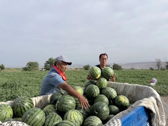 师徒吃瓜图,一场别开生面的吃瓜盛宴