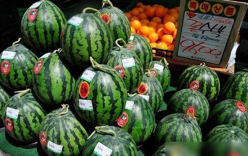 韩国游客吃瓜,吃瓜乐趣横生