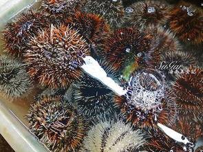 吃瓜有黑虫子,探究吃瓜时的健康隐患