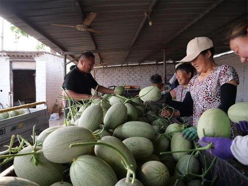 去隔壁宿舍吃瓜,你吃了没？