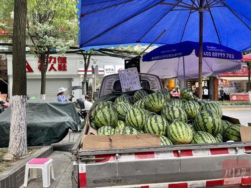 成都吃瓜哪家好,揭秘成都吃瓜哪家强