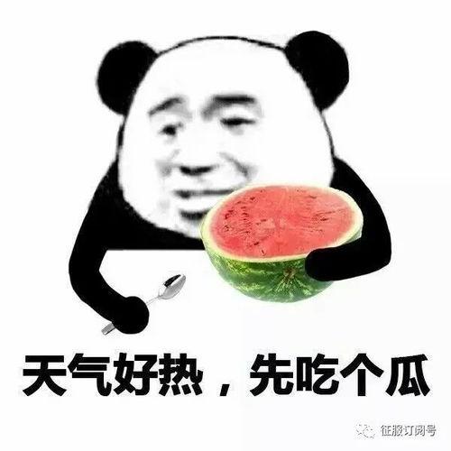 带你吃瓜狠老板,带你吃瓜狠老板背后的故事与真相