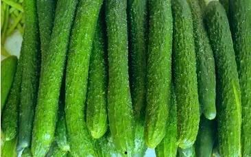 浙岱渔吃瓜,揭秘海鲜美食背后的故事