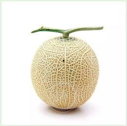 小孩绿地吃瓜头像,绿地小童吃瓜萌态瞬间