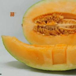 早晨吃蜜瓜好么,开启美好一天的健康选择